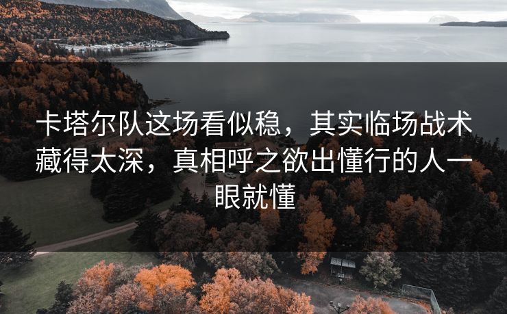 卡塔尔队这场看似稳，其实临场战术藏得太深，真相呼之欲出懂行的人一眼就懂