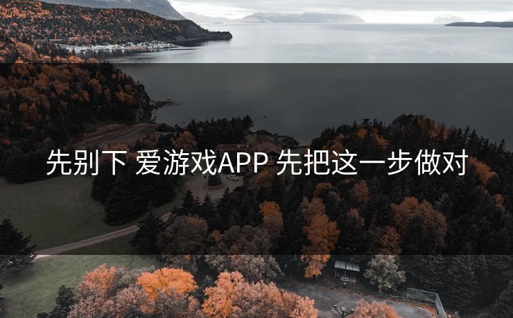 先别下 爱游戏APP 先把这一步做对 先别下 爱游戏APP 先把这一步做对