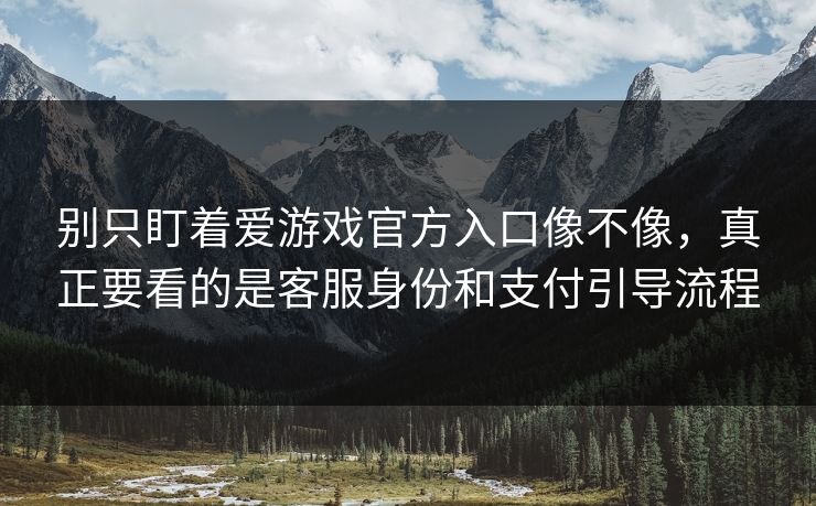 别只盯着爱游戏官方入口像不像,真正要看的是客服身份和支付引导流程 别只盯着爱游戏官方入口像不像,真正要看的是客服身份和支付引导流程